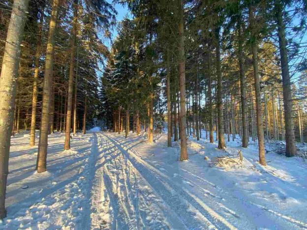 Prodej pozemku, Frýdštejn, 1080 m2