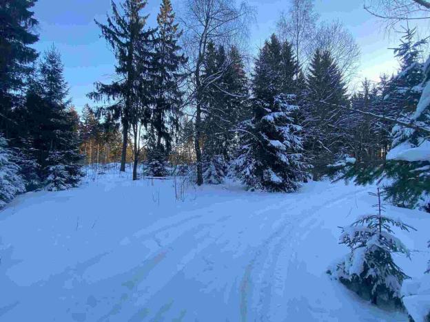 Prodej pozemku, Frýdštejn, 1080 m2