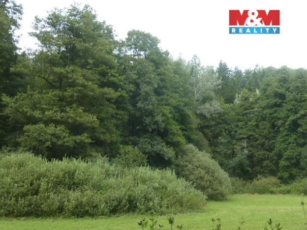 Prodej lesa, Vysoká Srbská, 26095 m2