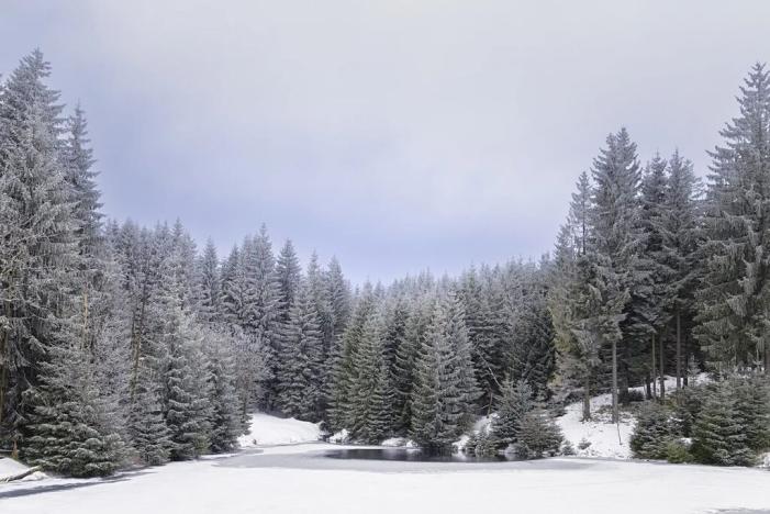 Prodej bytu 2+kk, Loučná pod Klínovcem, 40 m2