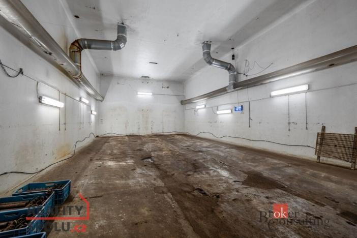 Prodej výrobních prostor, Kaznějov, Pod Továrnou, 6551 m2