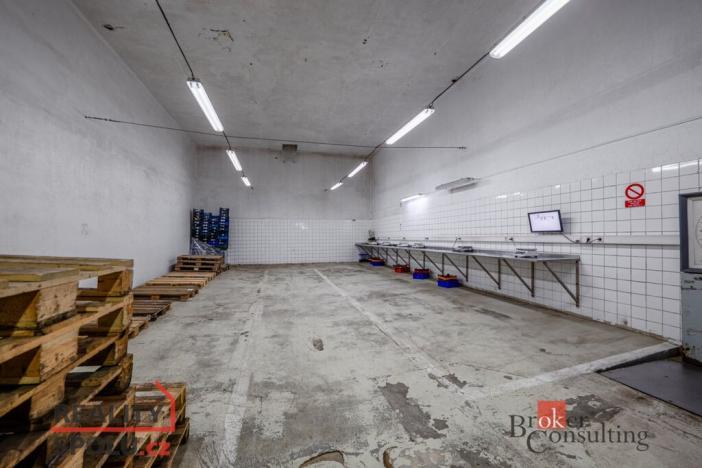Prodej výrobních prostor, Kaznějov, Pod Továrnou, 6551 m2