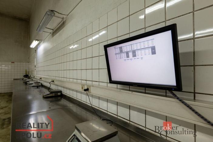 Prodej výrobních prostor, Kaznějov, Pod Továrnou, 6551 m2