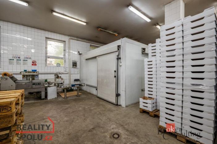 Prodej výrobních prostor, Kaznějov, Pod Továrnou, 6551 m2