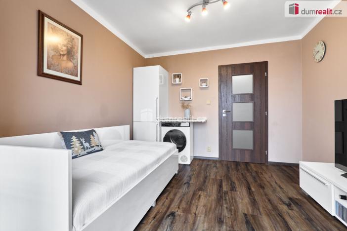 Prodej bytu 1+kk, Ústí nad Labem - Klíše, U Stadiónu, 16 m2