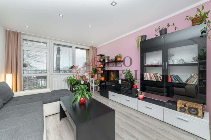 Prodej bytu 2+1, Český Těšín, Úvoz, 52 m2