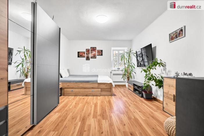 Prodej bytu 2+kk, Ústí nad Labem - Klíše, Klíšská, 41 m2