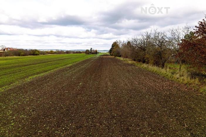 Prodej komerčního pozemku, Brno, 2814 m2