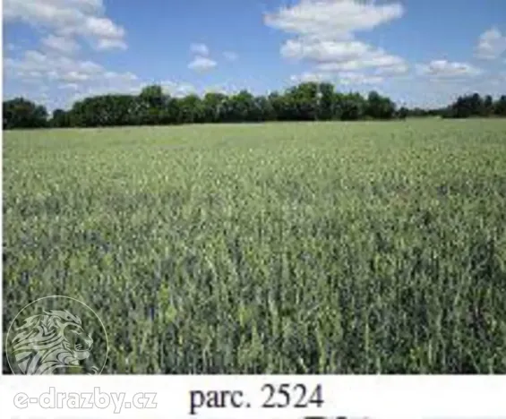 Dražba pole, Brno, 7587 m2