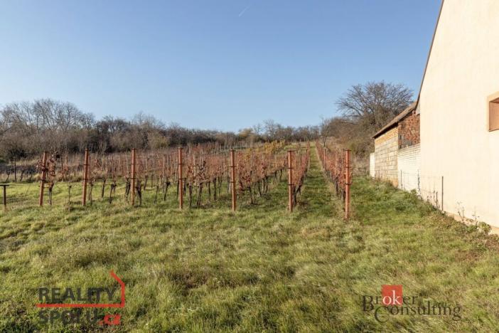 Prodej zahrady, Nový Poddvorov, 201 m2