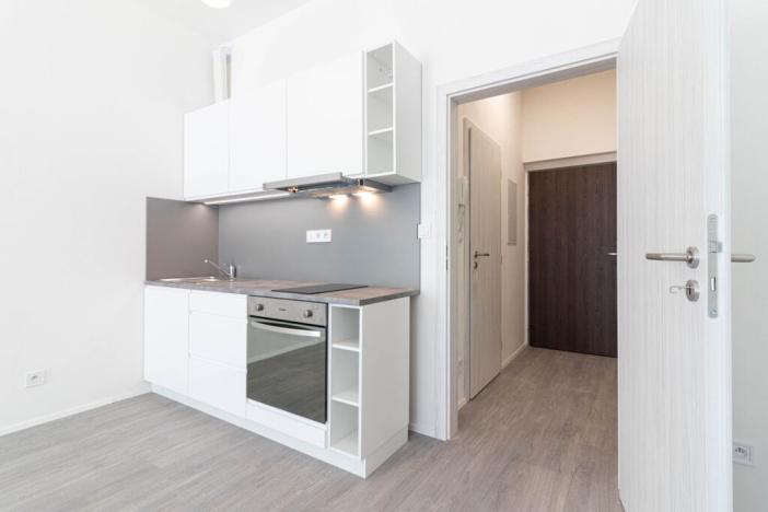 Pronájem bytu 1+kk, Olomouc, Wolkerova, 31 m2