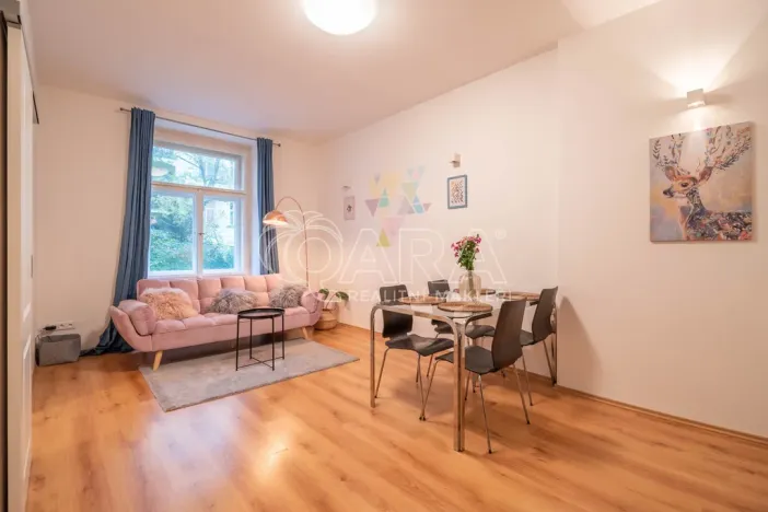 Pronájem bytu 2+kk, Praha, Mánesova, 55 m2