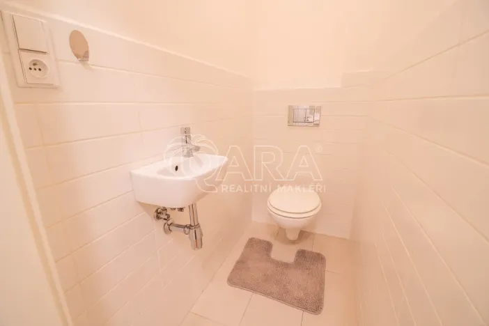 Pronájem bytu 2+kk, Praha, Mánesova, 55 m2