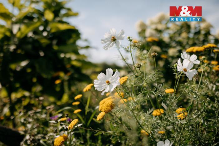 Prodej pozemku pro bydlení, Sušice, 4292 m2