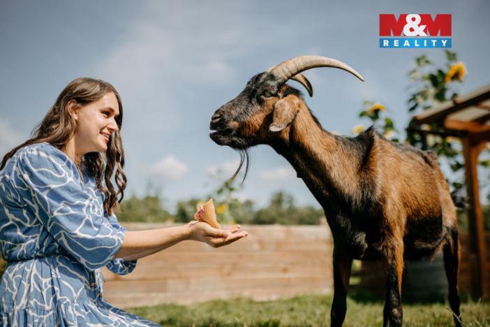 Prodej komerčního pozemku, Sušice - Divišov, 4292 m2