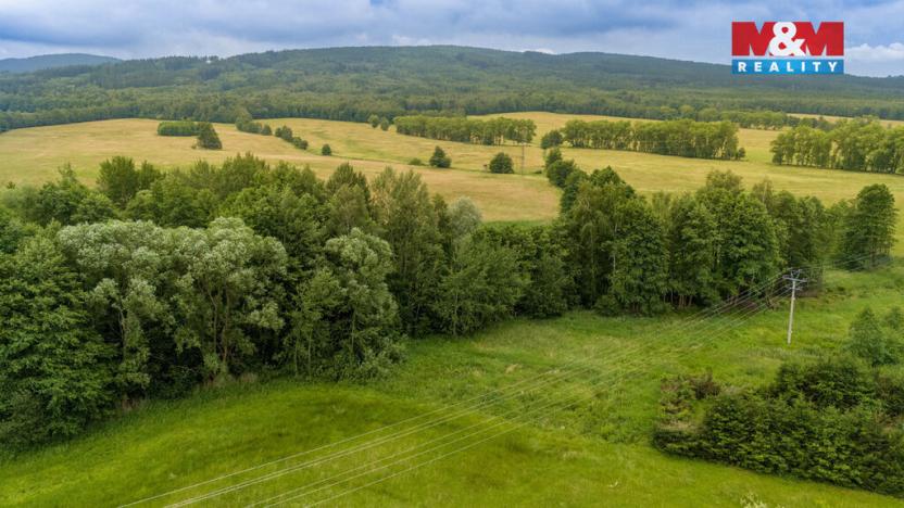 Prodej louky, Dětřichov, 4178 m2