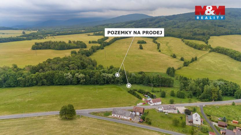 Prodej louky, Dětřichov, 4178 m2