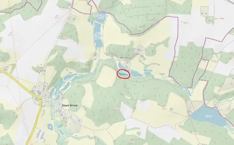 Prodej lesa, Staré Bříště, 1279 m2