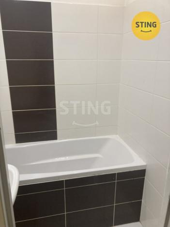 Pronájem bytu 1+1, Ostrava - Hrabůvka, 40 m2