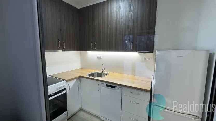 Pronájem bytu 2+kk, Borovany - Trocnov, 40 m2