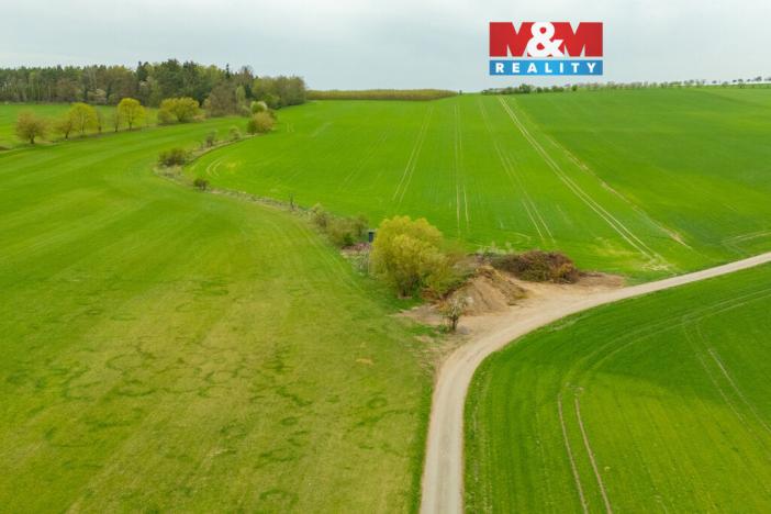 Prodej louky, Olešnice, 730 m2