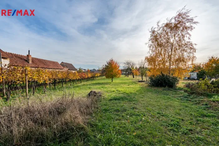 Prodej rodinného domu, Šakvice, 200 m2