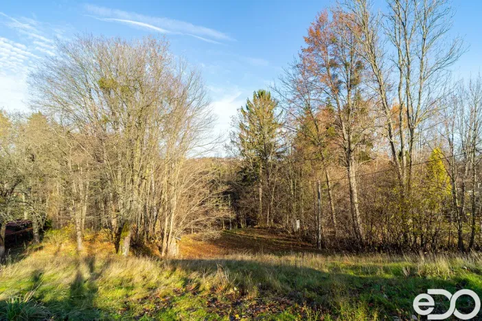 Prodej pozemku pro bydlení, Budislav, 2081 m2