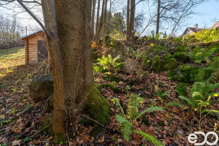 Prodej pozemku pro bydlení, Budislav, 2081 m2