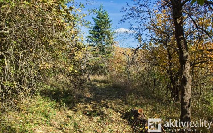 Prodej zahrady, Brno, Jámy, 2116 m2