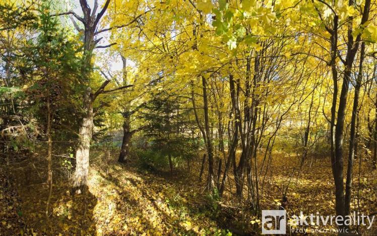 Prodej zahrady, Brno, Jámy, 2116 m2