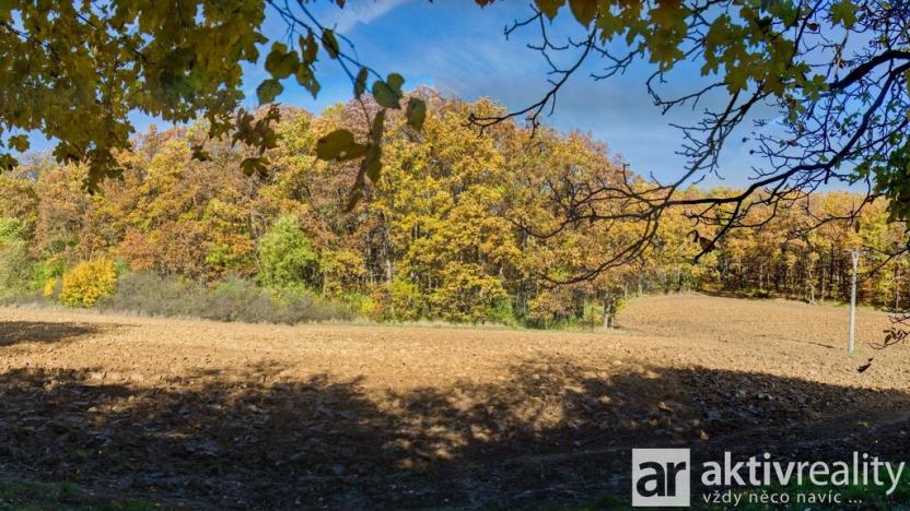 Prodej zahrady, Brno, Jámy, 2116 m2