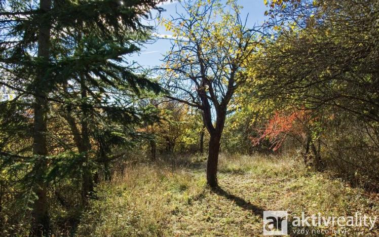 Prodej zahrady, Brno, Jámy, 2116 m2