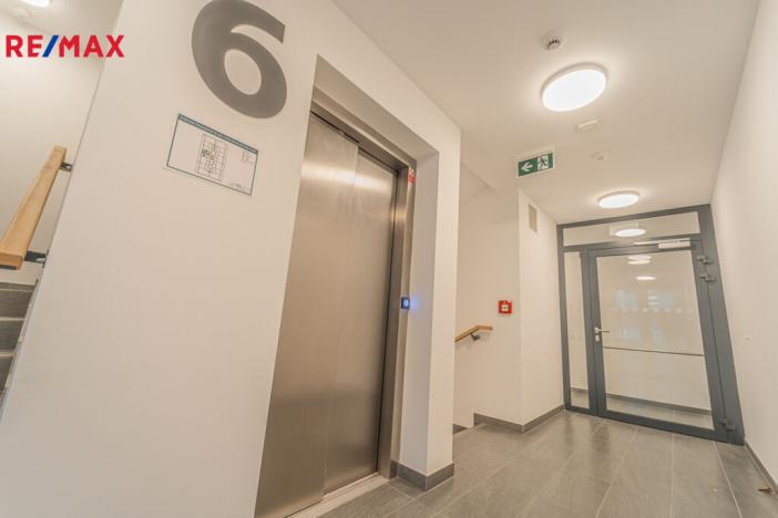 Pronájem bytu 1+kk, Praha - Žižkov, Olgy Havlové, 32 m2