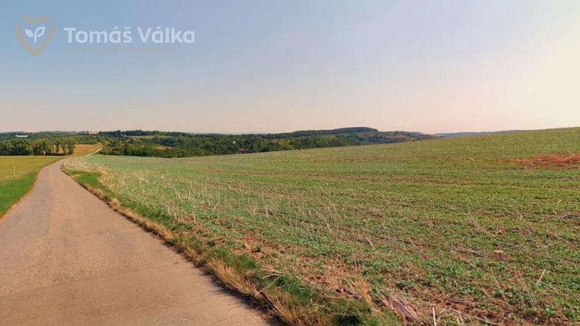 Prodej pole, Diváky, 4049 m2