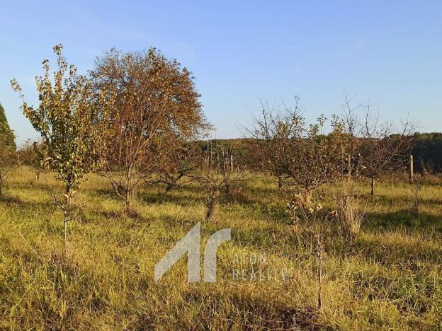 Prodej pozemku pro bydlení, Kopidlno, 3571 m2