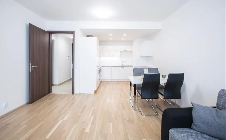 Pronájem bytu 2+kk, Praha - Karlín, Nekvasilova, 56 m2