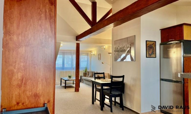 Pronájem bytu 1+kk, Brno - Veveří, Gorkého, 61 m2