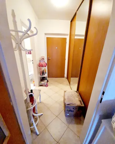 Pronájem bytu 1+kk, Praha - Záběhlice, Ve slatinách, 45 m2