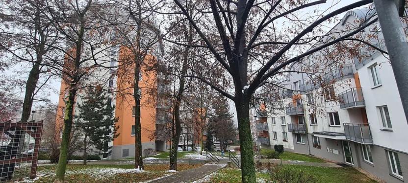 Pronájem bytu 1+kk, Praha - Záběhlice, Ve slatinách, 45 m2