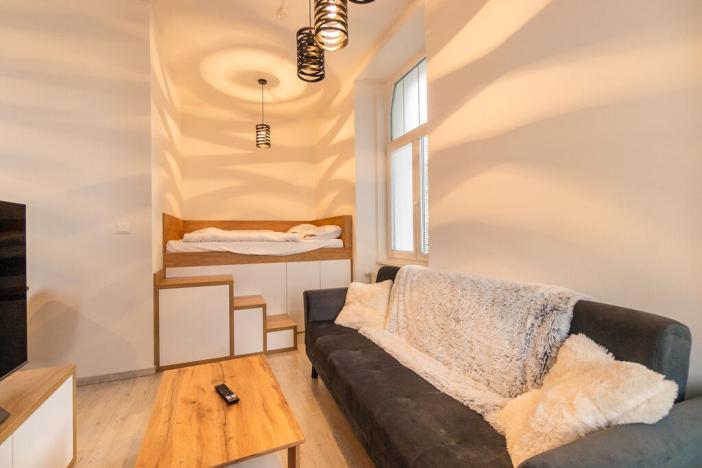 Pronájem bytu 1+kk, Ústí nad Labem - Střekov, Žukovova, 32 m2