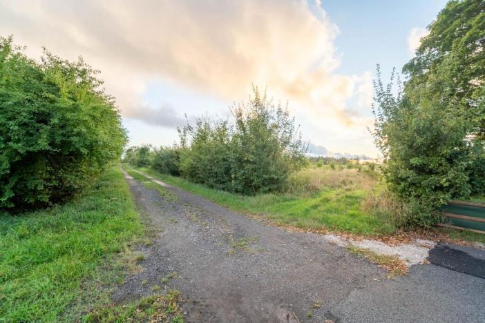 Prodej pozemku pro bydlení, Smidary, J. A. Komenského, 6666 m2