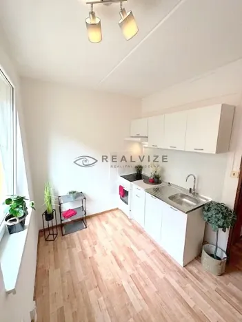 Pronájem bytu 1+1, České Budějovice, J. Bendy, 31 m2
