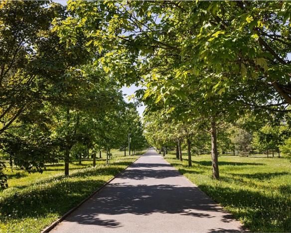 Prodej kanceláře, Hradec Králové, Pospíšilova, 95 m2