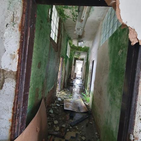 Prodej komerčního pozemku, Tišnov, Červený Mlýn, 6493 m2