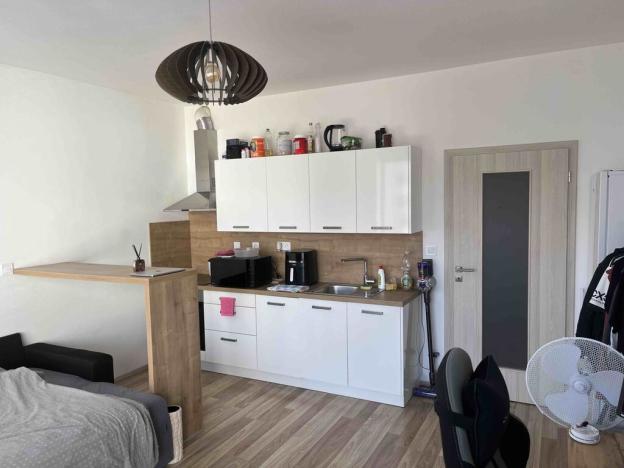 Pronájem bytu 1+kk, České Budějovice - České Budějovice 2, Volejbalistů, 28 m2