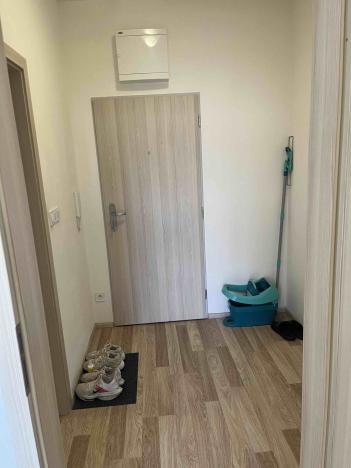 Pronájem bytu 1+kk, České Budějovice - České Budějovice 2, Volejbalistů, 28 m2