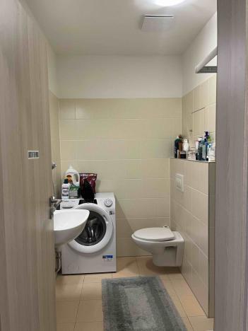 Pronájem bytu 1+kk, České Budějovice - České Budějovice 2, Volejbalistů, 28 m2