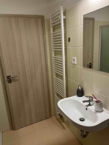 Pronájem bytu 1+kk, České Budějovice - České Budějovice 2, Volejbalistů, 28 m2