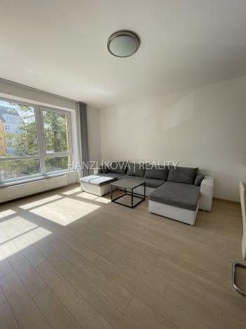 Pronájem bytu 3+kk, České Budějovice - České Budějovice 3, B. Smetany, 86 m2