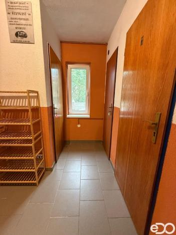 Pronájem atypického bytu, Strmilov - Česká Olešná, 100 m2